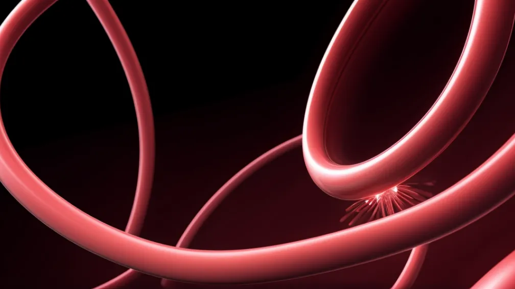 Descoperire revoluționară: O nouă moleculă legată de bolile cardiovasculare