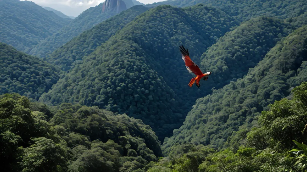 Papagalii Macaw revin la Rio de Janeiro după 200 de ani: un proiect de reintroducere