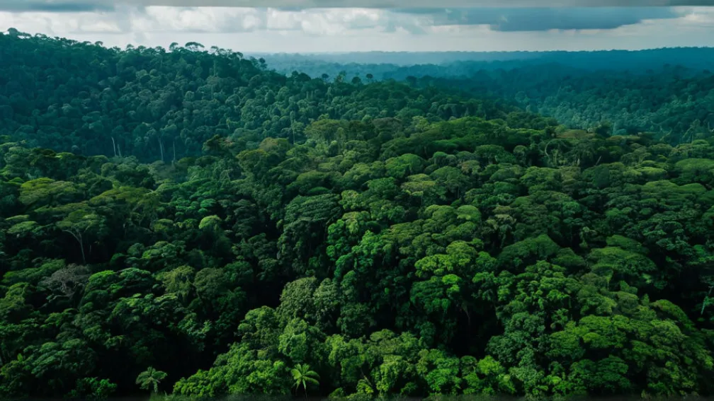Summitul Climatic COP30 începe în Brazilia pe fondul "fracturii globale": Apel la combaterea negării schimbărilor climatice