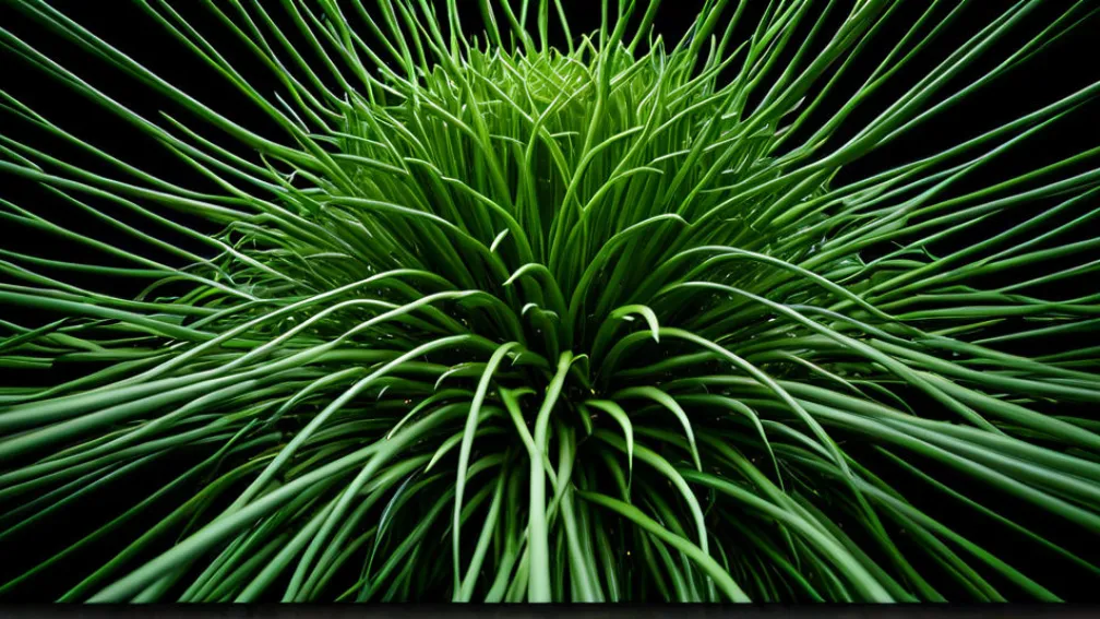 Etica afacerilor: Cum „a face bine” devine o strategie profitabilă.