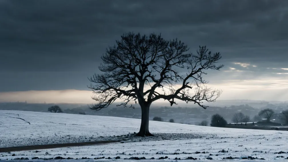 Criticul de film laudă noul film al lui David Trueba, „Siempre es invierno”