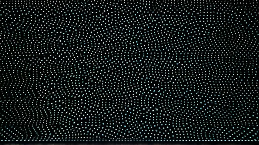 «Tot ce am făcut pentru bani»: Cartea Violetei Niebla despre precarietatea profesională a unei generații