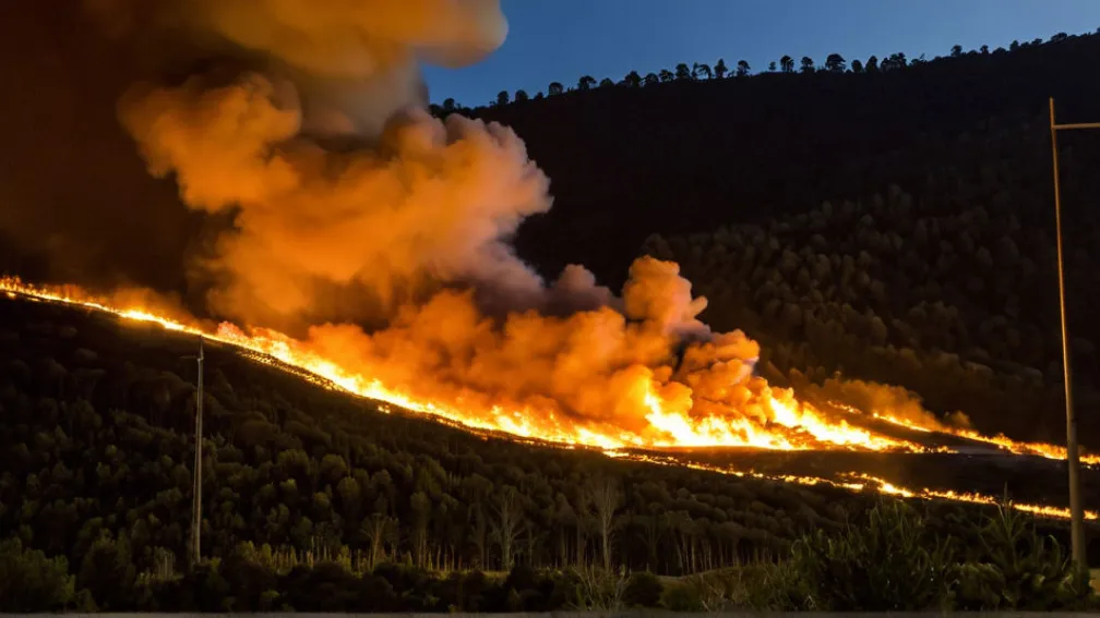 Pirotaan, condamnat la opt ani de închisoare în Asturias pentru incendii devastatoare