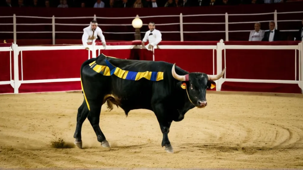 Gala Premiilor Taurine de la Cazinoul din Madrid: O celebrare a artei coridei, fără Morante de la Puebla