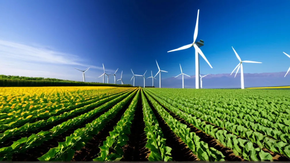 Inovații în domeniul energiei regenerabile