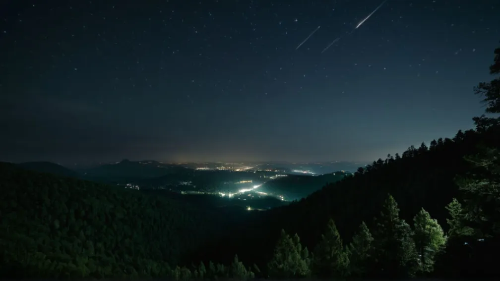 Manifest pentru Întuneric: Poluarea Luminoasă și Impactul Asupra Vieții Nopții