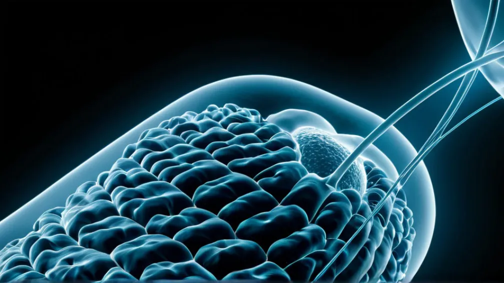 Daiichi Sankyo: Inovația Științifică și Sustenabilitatea, Piloni ai Progresului Medical