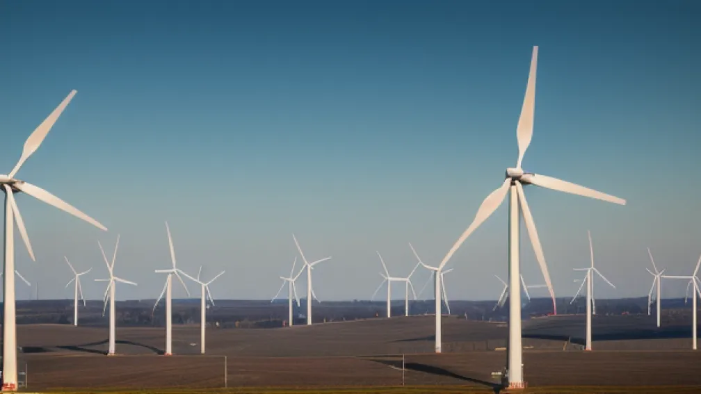 Investitorii resping tarifele garantate: Ce se întâmplă cu licitațiile de energie regenerabilă în Spania?