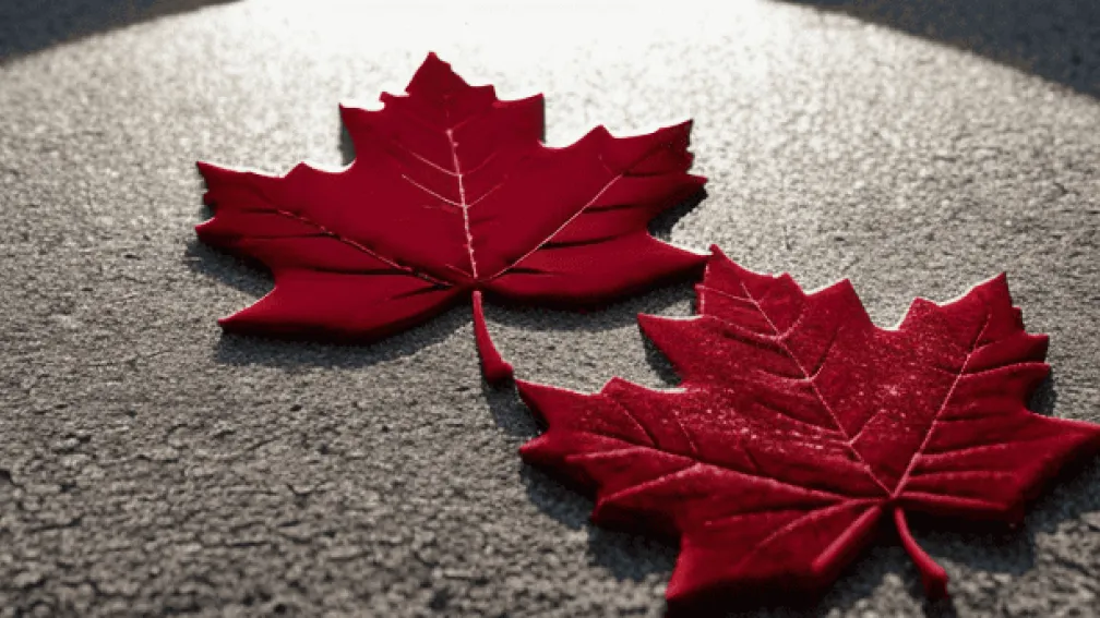 Partidul Liberal din Canada își alege succesorul lui Justin Trudeau – Impactul alegerilor și perspective economice