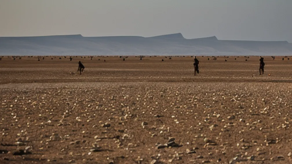 Podcast | Războiul din Sudan, văzut prin ochii unei lucrătoare umanitare sudaneze