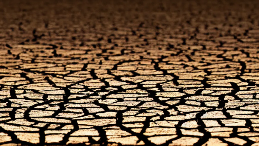Seceta Revine în Spania și Va Fi Tot Mai Severă din Cauza Schimbărilor Climatice, în ciuda Ploilor Recente