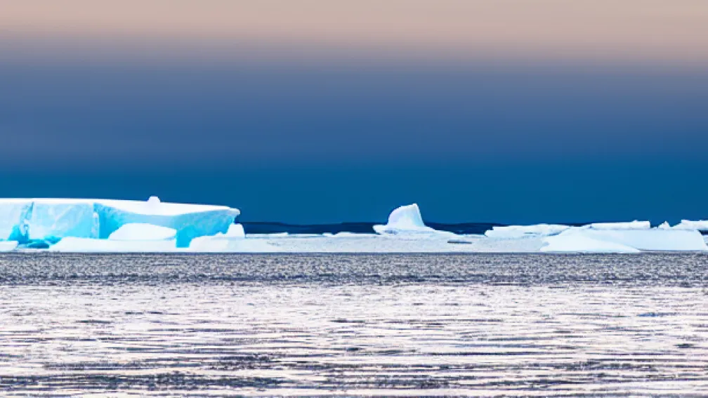 Invazie de Pestă în Coloniile de Pinguini din Antarctica: Oamenii de știință în Alertă