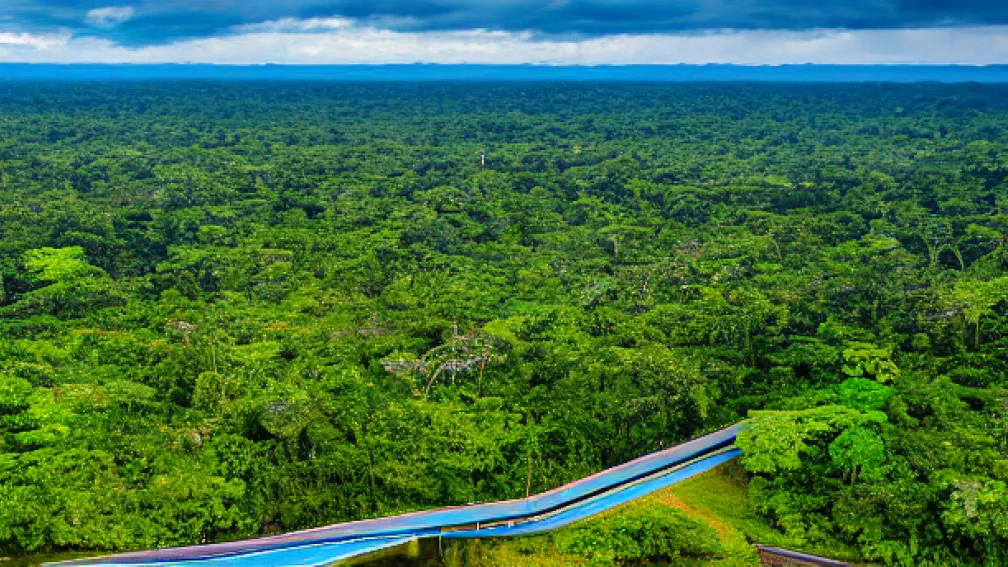 Brazilia deschide o autostradă într-o zonă protejată din Amazonia pentru a găzdui invitații la summitul climatic de la Belém