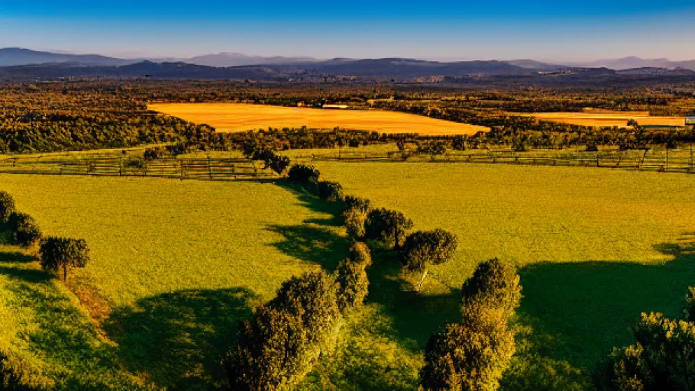 Investigație Judiciară Deschisă în Andaluzia privind Megacentralele Solare din Jaén: Impact asupra Mediului și Agriculturii