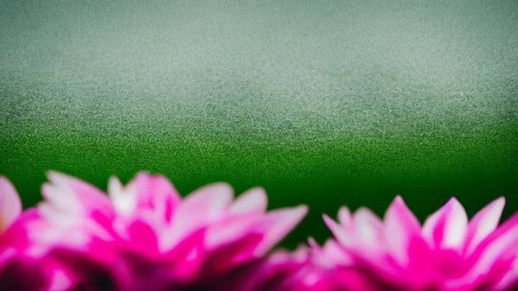 Arborele Iubirii: O Explozie de Flori Roz
