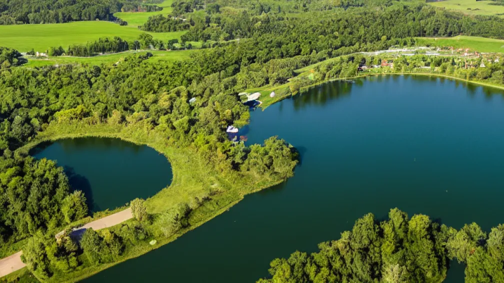 Viața la Limita Unui Lac Contaminat