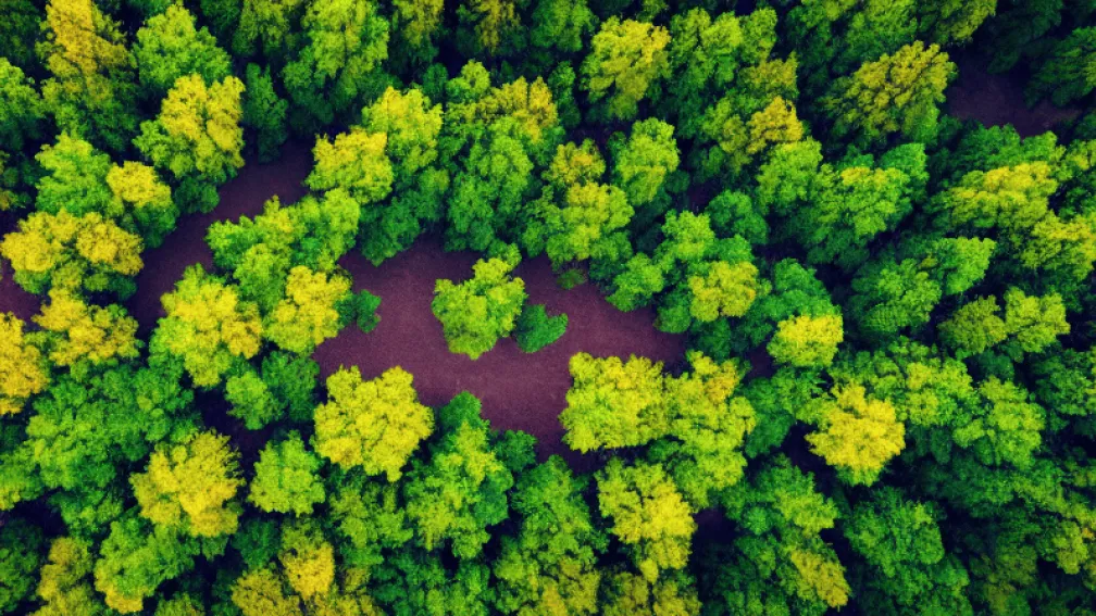 Naturgy: Ofertă răscumpărare și negocieri Taqa