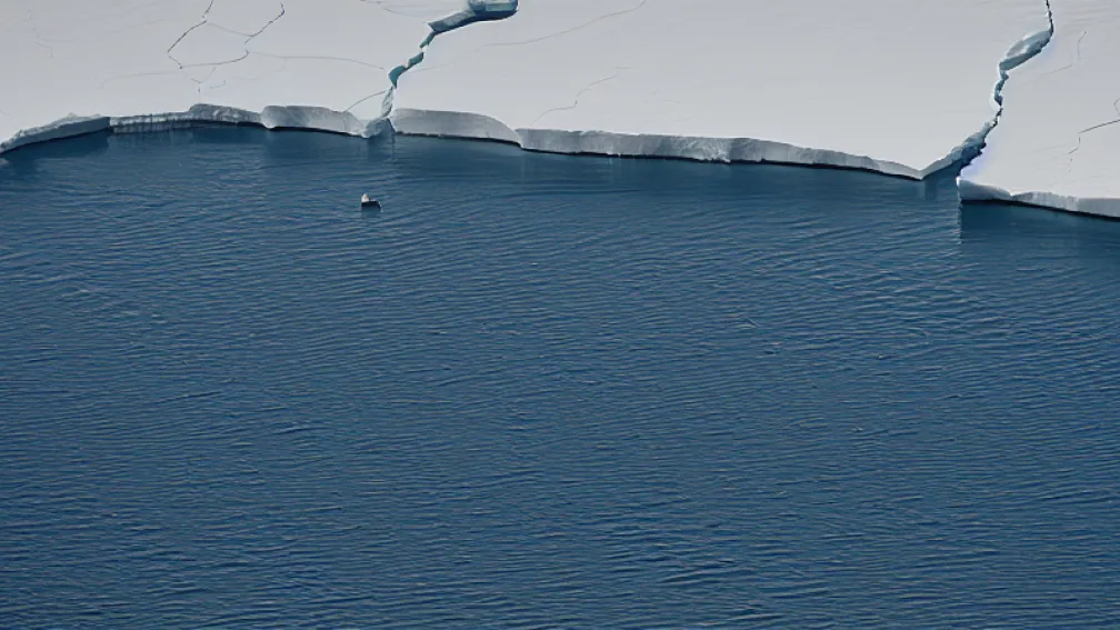 «Iceberg»: Piesa feministă premiată creată de tinere