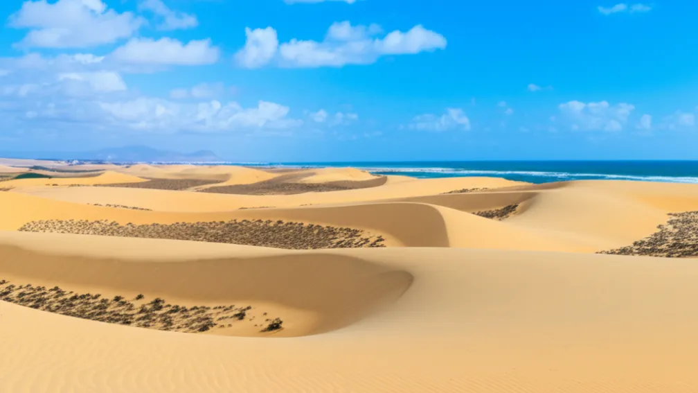 Conflictul Riu - Tranziție Ecologică, Fuerteventura: Un nou «Algarrobico»?