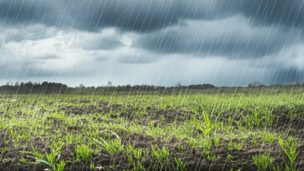 Vremea de Paște: începe cu ploi generalizate și temperaturi scăzute