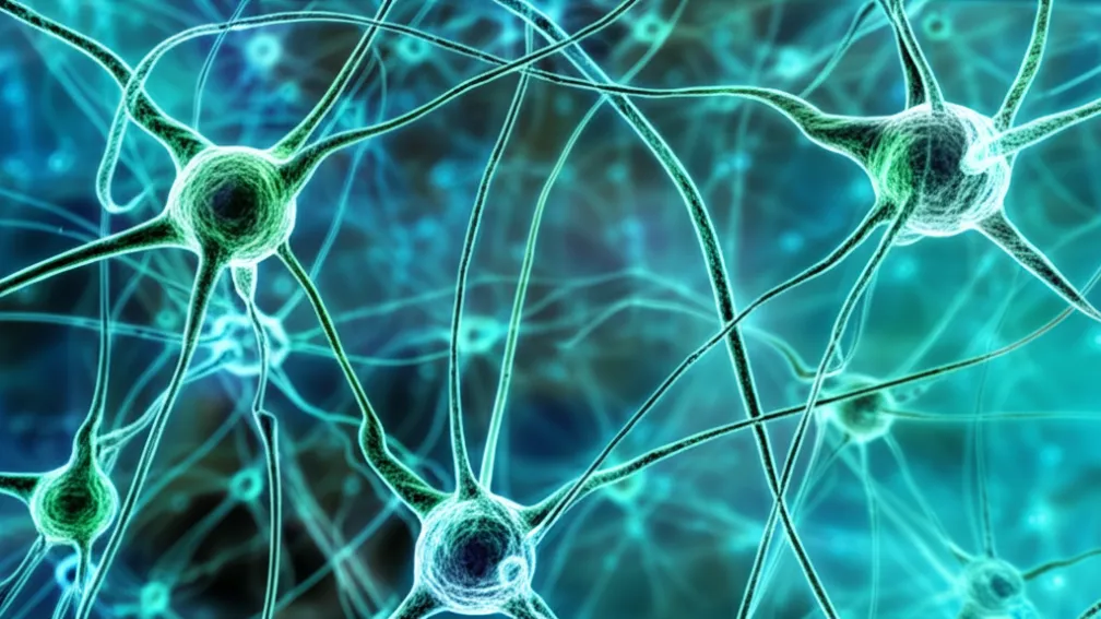 Succes inițial al a două transplanturi de celule stem contra Parkinson