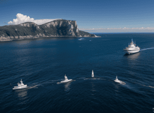 Întâlnirile dintre balenele ucigașe și nave în strâmtoarea Gibraltar au scăzut cu 40% în 2024