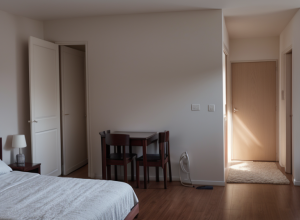 Un bărbat arestat în Parla pentru uciderea colegului de apartament