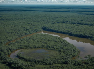 Brazilia autorizează exploatarea petrolieră în fața Amazonului: ecologiștii protestează