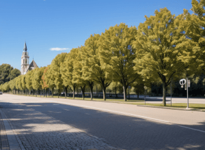 Spania se pregătește pentru finalul caniculei: aproape întreaga țară în stare de alertă