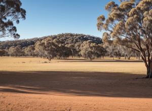 Google va plăti o amendă de 35,8 milioane de dolari în Australia pentru încălcarea legilor concurenței