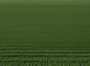 Africa are nevoie de investiții, nu de promisiuni: ce se află în spatele summit-urilor climatice