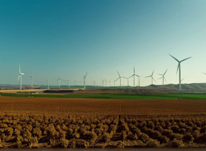 Mexicul și Provocarea Climatică: Noile Obiective Ambițioase pentru COP30, pe Fondul Eșecurilor Anterioare