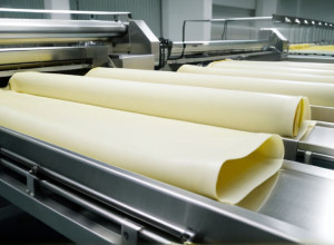 Fabrica de cannelloni din Catalonia, scoasă la vânzare de Generalitat pentru 228.306 euro
