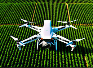 Poveste de succes: Cum un startup a transformat agricultura