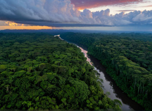 Amazonia și Calea către o Pace cu Natura: Renunțarea la Combustibilii Fosili