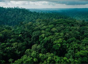 Summitul Climatic COP30 începe în Brazilia pe fondul "fracturii globale": Apel la combaterea negării schimbărilor climatice