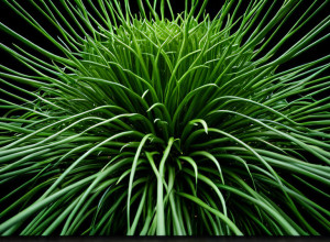 Etica afacerilor: Cum „a face bine” devine o strategie profitabilă.