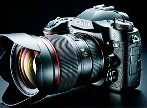 Exemplu de articol în limba română