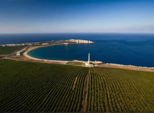 Recunoașterea Crimeei ca teritoriu rusesc