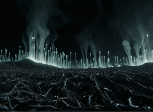 Rețelele Sociale și Democrația: O Apă "Otrăvită" pe care Guvernele o Ignoră