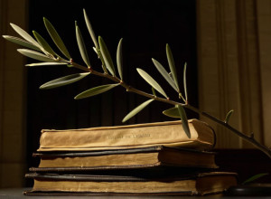 Președintele Petro Întinde o Ramură de Măslin Justiției Prin Noul Ministru