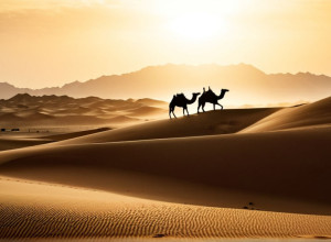 Brigada de Cămile din Mauritania: Gardienii Deșertului Sahara Împotriva Jihadiștilor