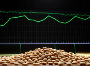 Producătorii alimentari spanioli: Venituri și profituri în creștere, dar marje în scădere după șocul inflaționist
