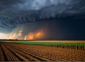 Schimbările climatice și consecințele lor