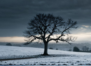 Criticul de film laudă noul film al lui David Trueba, „Siempre es invierno”