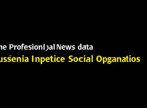 ONG-urile sociale din Spania: impact crescut, aproape 610.000 de angajați și 1,2% din PIB