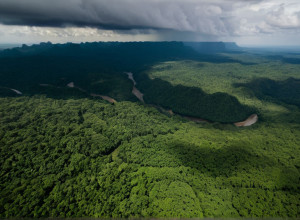 Capturat "Pipo", cel mai căutat narcotraficant din Ecuador, în urma unei operațiuni hispano-ecuadoriene