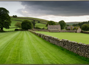 „Toate creaturile mari și mici”: Sezonul 6 al serialului britanic apreciat, detalii și data lansării