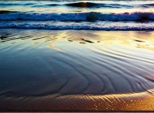 Eseul lui Noelia Ramírez: O Explorare a Identității, Doliului și Găsirii Vocii în "Nimeni nu mă aștepta aici"