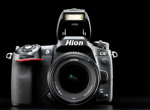 Cimpanzeii duc războaie pentru supraviețuirea puilor: O strategie evolutivă uimitoare